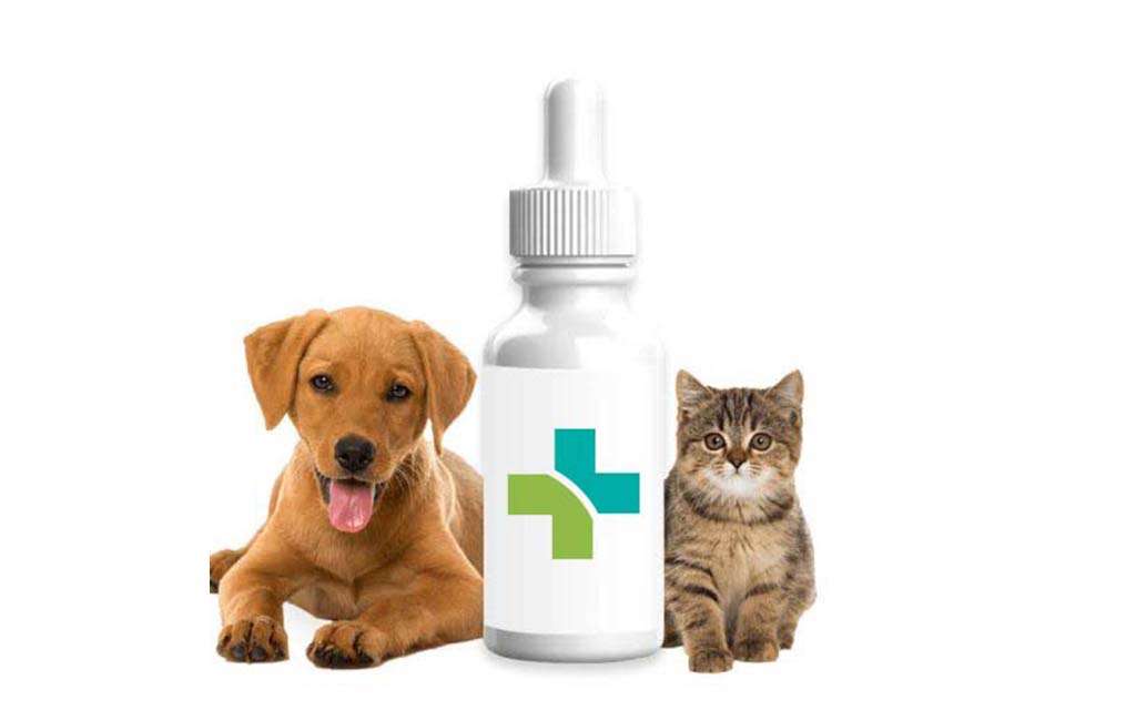 CBD Mascotas