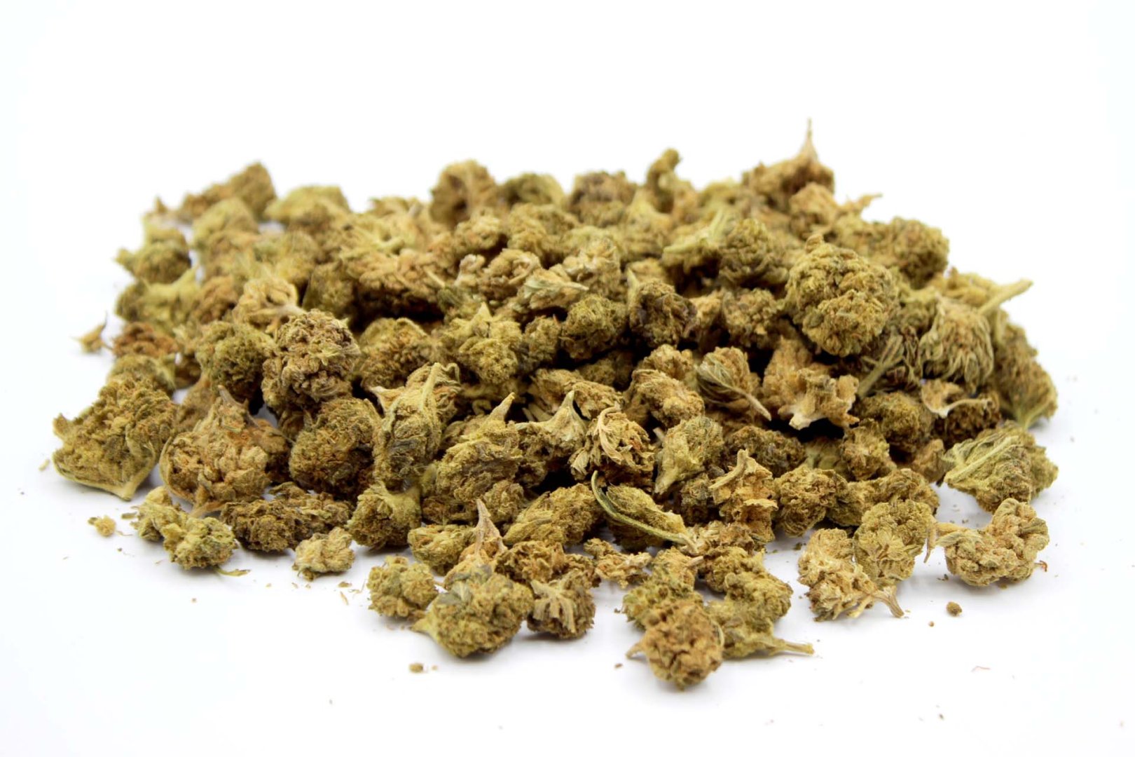 Cogollos pequeños de CBD sueltos sobre fondo blanco