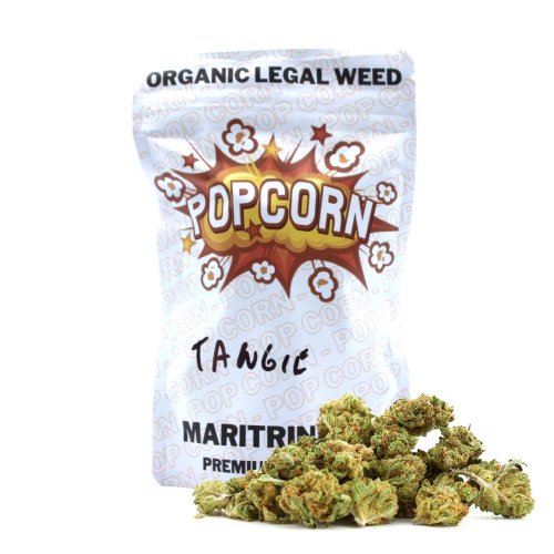 Tangie Maritrini CBD Small Buds indoor