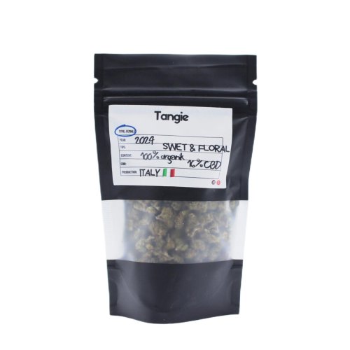 Tangie Pop Corn The Green Muse