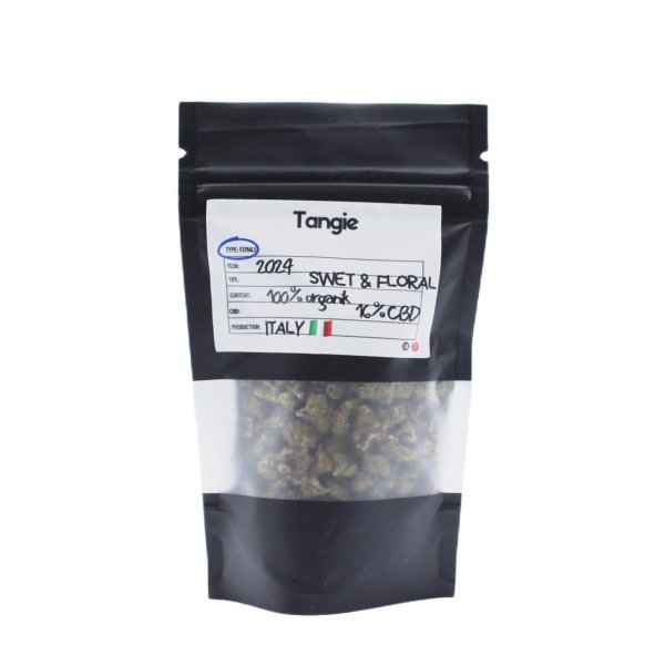 Tangie Pop Corn The Green Muse