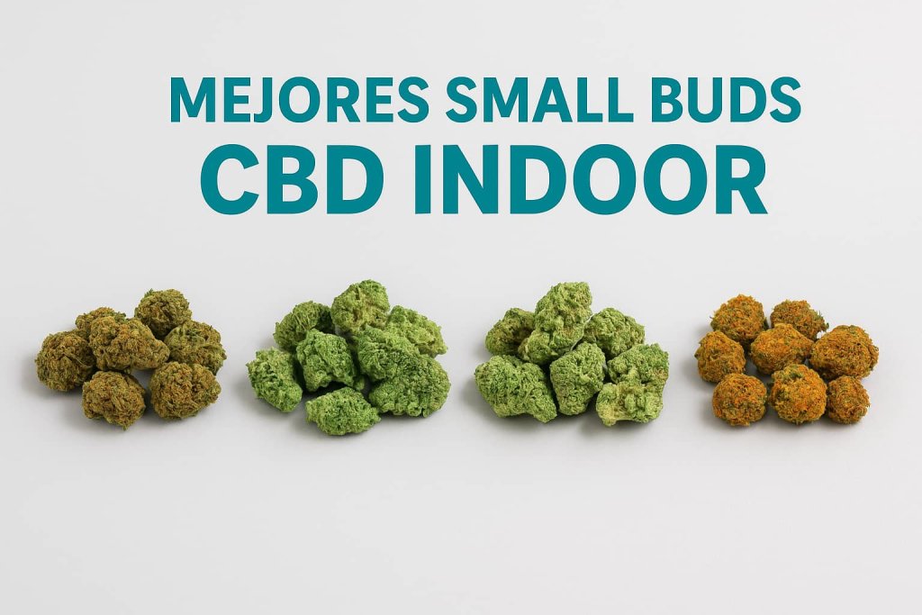 Mezcla de flores pequeñas de CBD indoor con distintos tonos y texturas sobre fondo claro