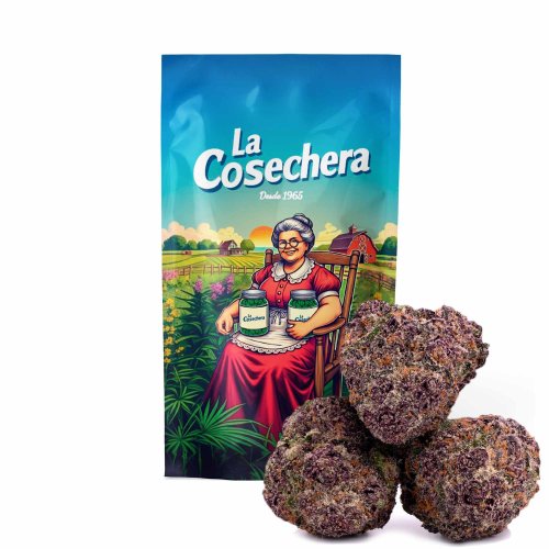 Purple Queen Small Buds La Cosechera 10g