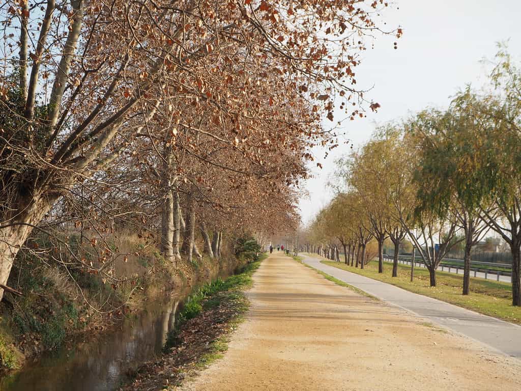 Entorno natural en El Prat – Productos CBD cerca de espacios verdes