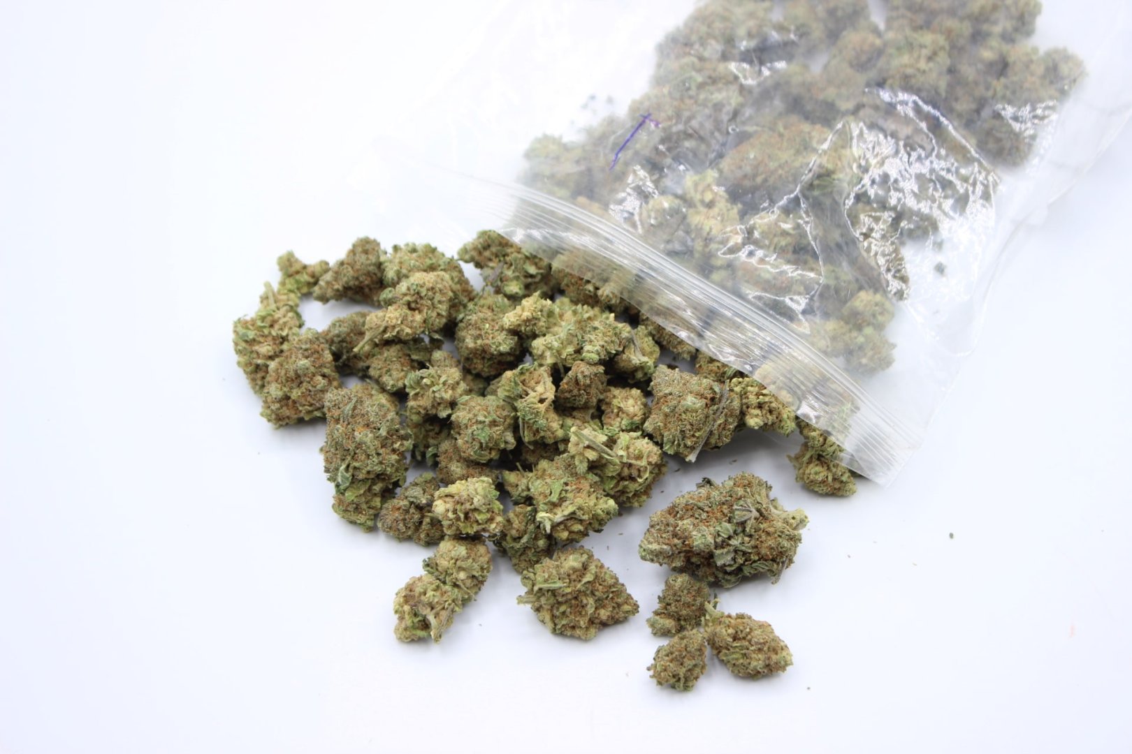 Bolsa hermética abierta con flores de CBD esparcidas sobre superficie blanca