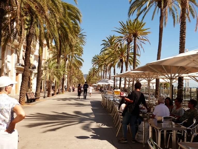 Vista urbana del centro de Badalona con palmeras, comercios y zonas donde comprar CBD