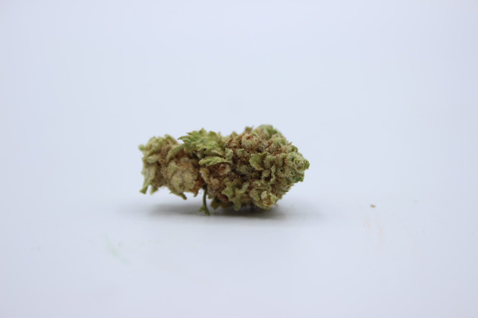 Flor de CBD con tricomas apagados y color marrón