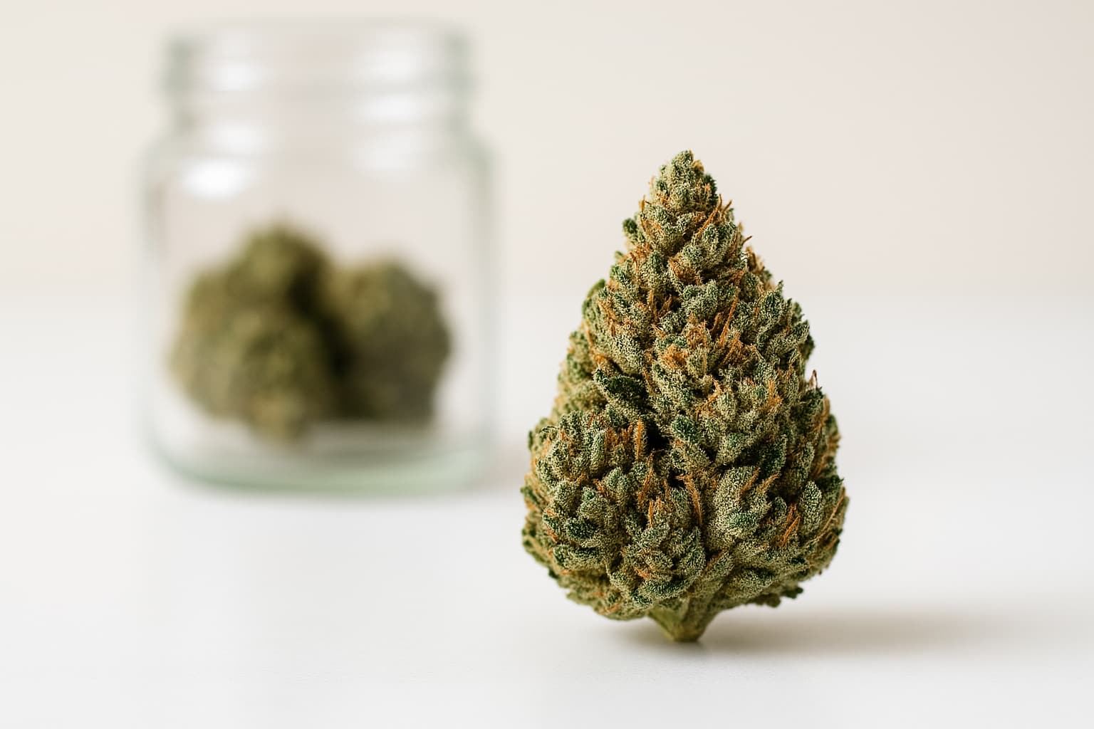 Cogollo CBD grande y resinoso, representando un aroma fuerte al abrir el envase