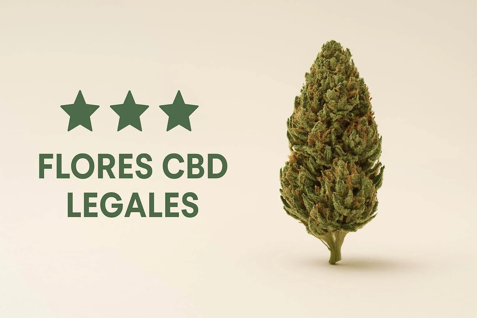 Cogollo de CBD sobre fondo claro con iconos que simbolizan legalidad en España