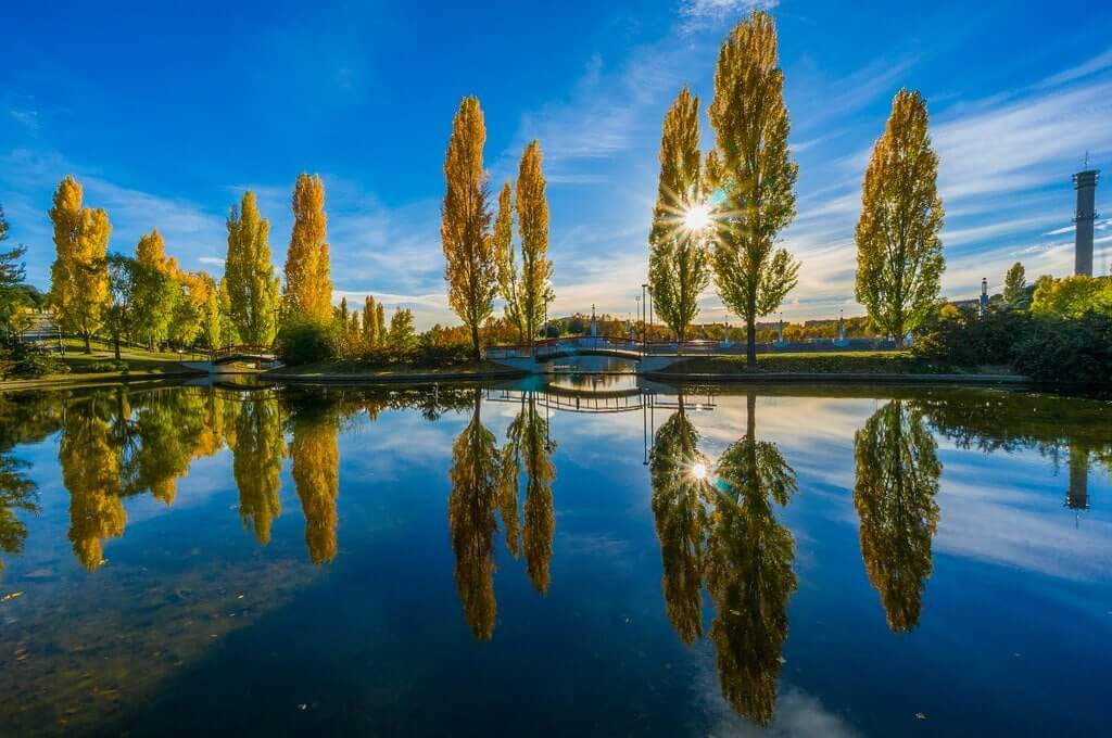 Paisaje natural en el Parque Central de Tres Cantos, entorno cercano a productos CBD