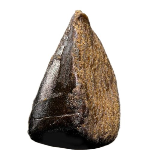 Jamaican Hash CBD The Green Muse 5g