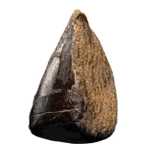 Jamaican Hash CBD The Green Muse 5g