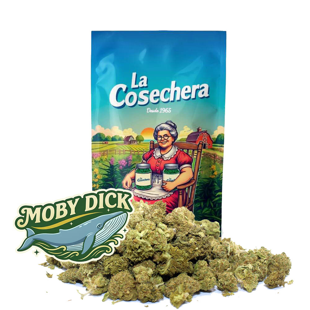 Moby Dick la cosechera small buds