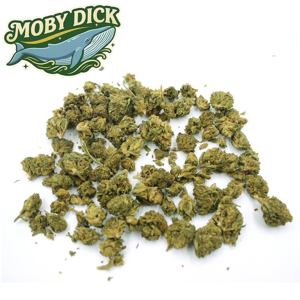 Moby Dick la cosechera small buds