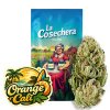 Orange Cali Greenhouse CBD La Cosechera