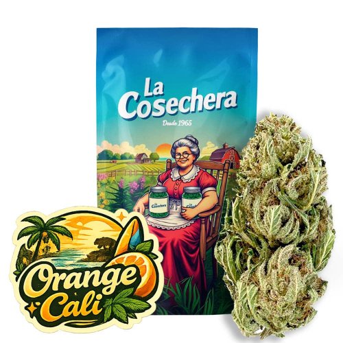 Orange Cali Greenhouse CBD La Cosechera