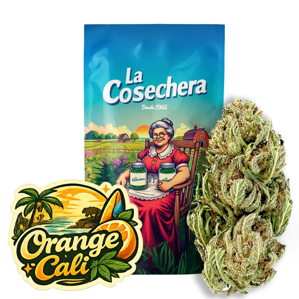 Orange Cali Greenhouse CBD La Cosechera