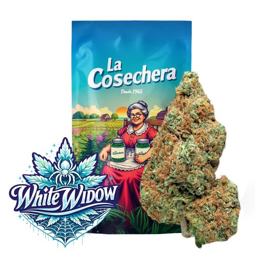 White Widow Greenhouse La cosechera 5 o 10 g