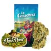 Jack Herer Greenhouse La Cosechera 5 o 10 g