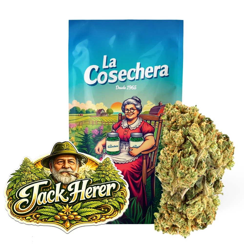 Jack Herer Greenhouse La Cosechera flor CBD greenhouse