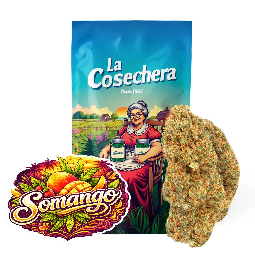 Somago Greenhouse La Cosechera flor CBD greenhouse