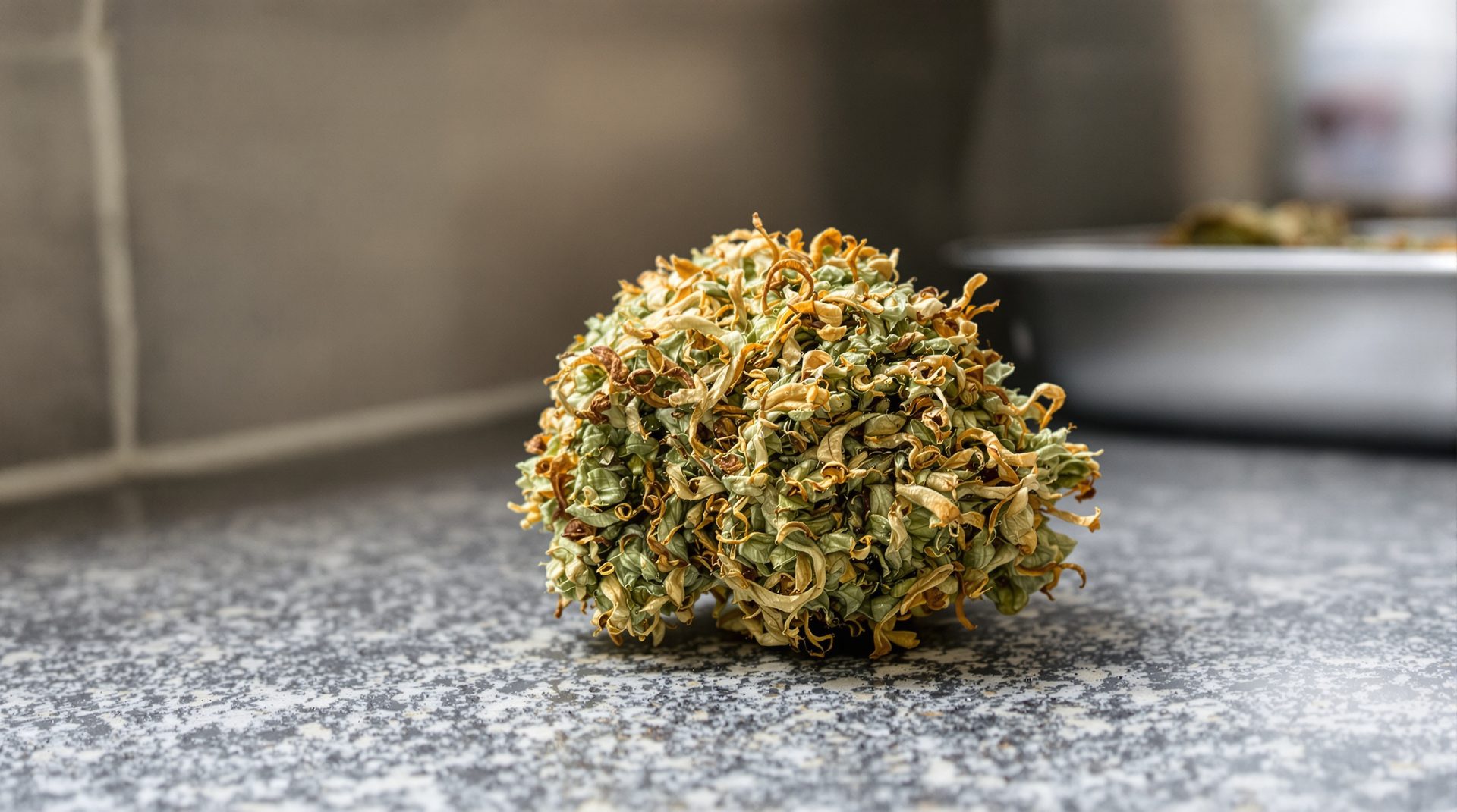 Cogollo de AK-47 CBD sobre superficie de granito gris con luz natural de ventana, macro botánico documental