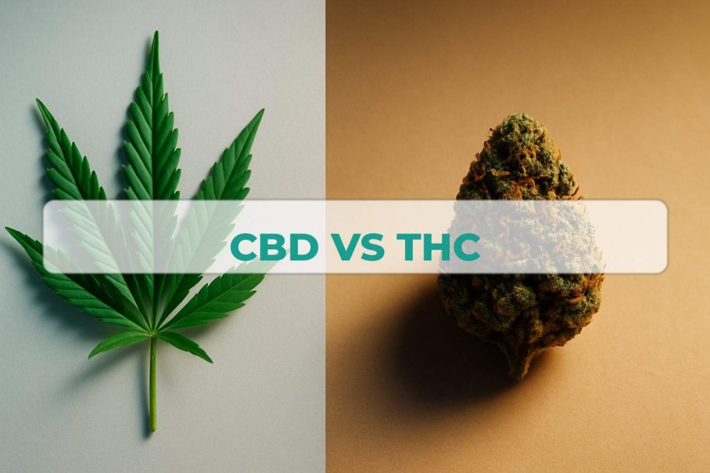 CBD vs THC: portada editorial de contraste visual premium en Farma CBD