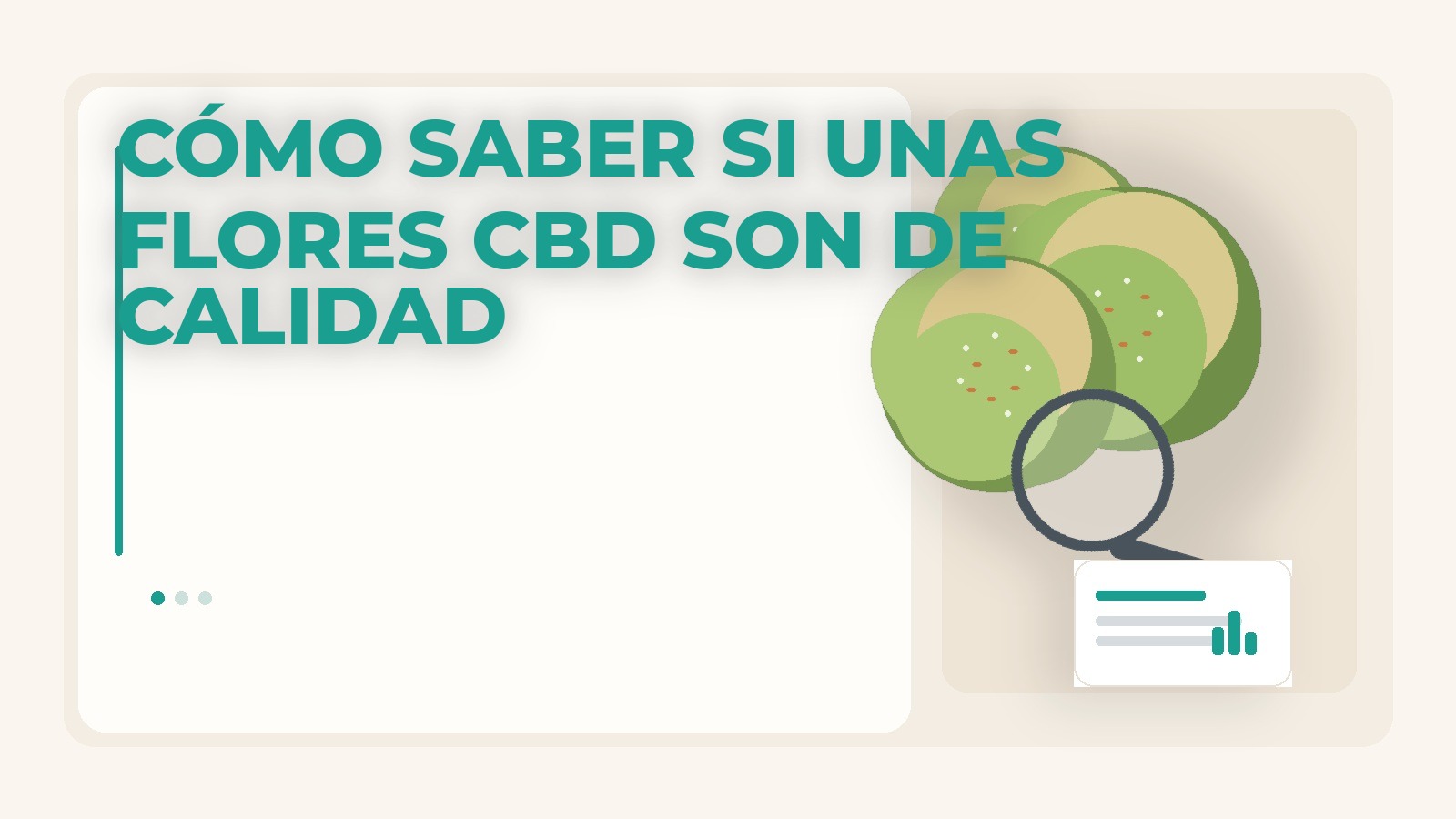 Cómo saber si unas flores CBD son de calidad con composición editorial clara