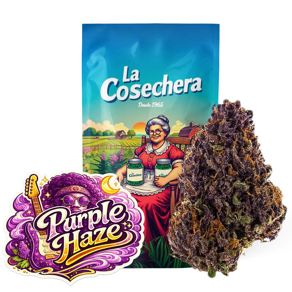 Flor CBD Purple Haze Greenhouse de La Cosechera