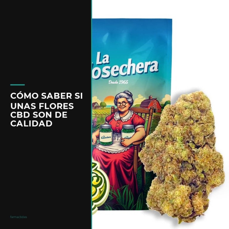 cómo saber si unas flores cbd son de calidad