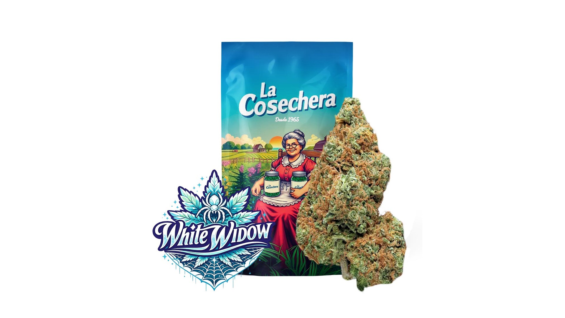 White Widow Greenhouse La Cosechera con tricomas visibles y color verde claro