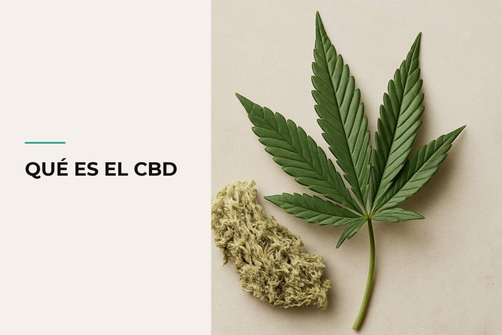 Qué es el CBD: portada editorial explicativa y premium en Farma CBD