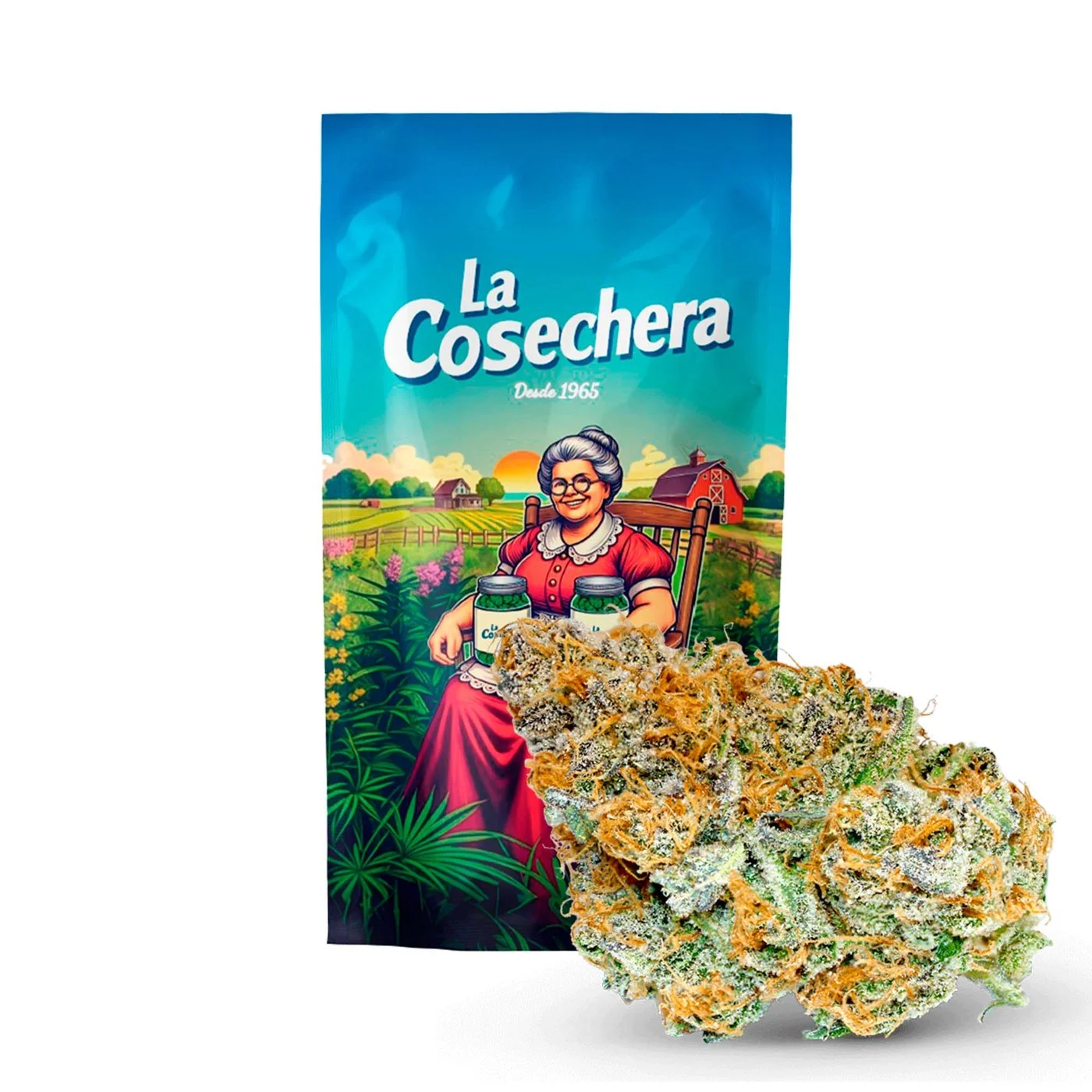 Flor CBD indoor como ejemplo de perfil aromático y fitocomplejo vegetal