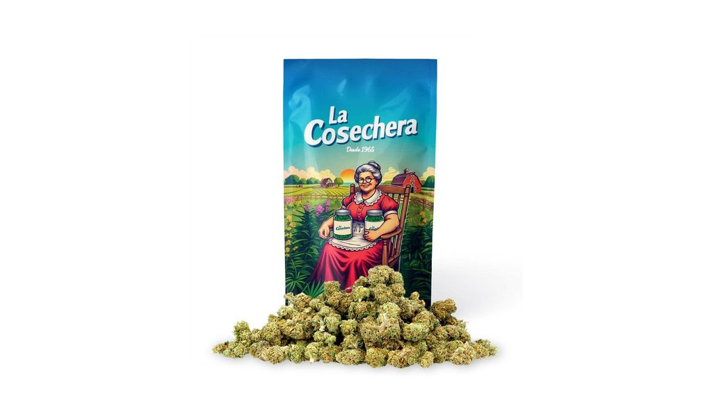 Amnesia Small Buds La Cosechera 50g, flores CBD con perfil índica terroso naturalmente rico en CBN