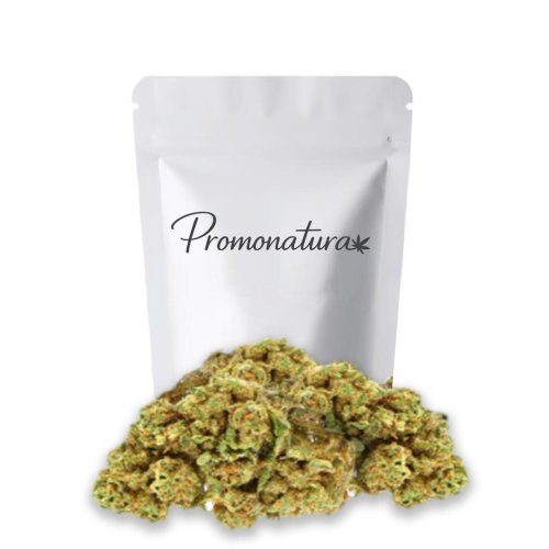 Cogollos de flor CBD Cheese Promonatura verdes y densos con tricomas y pistilos naranjas, en formato 5 g y 10 g