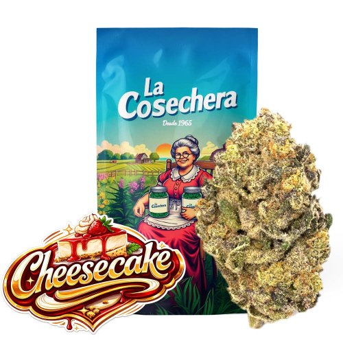 Flor cheesecake greenhouse cbd de La Cosechera, cogollo verde compacto con tonos lilas y abundante resina cristalina