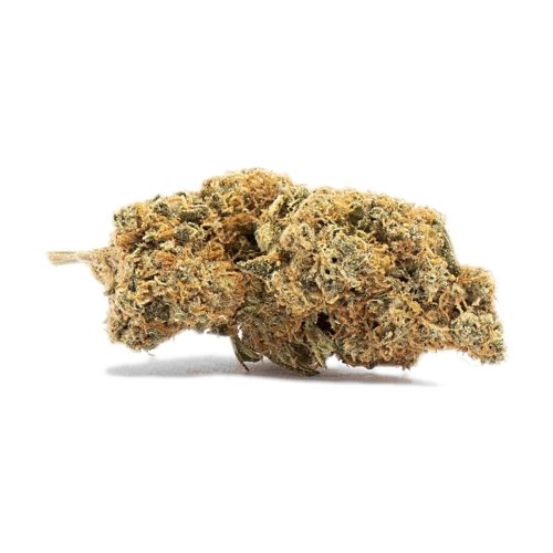 Cogollos de flor CBD Idukki Gold Mandala 10g verdes con tonos dorados y pistilos anaranjados, en bolsa hermética