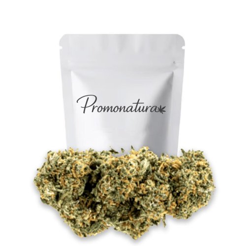 Cogollos de flor CBD Orange Bud Promonatura verdes con abundantes pistilos naranjas y tricomas, en formato 5 g y 10 g